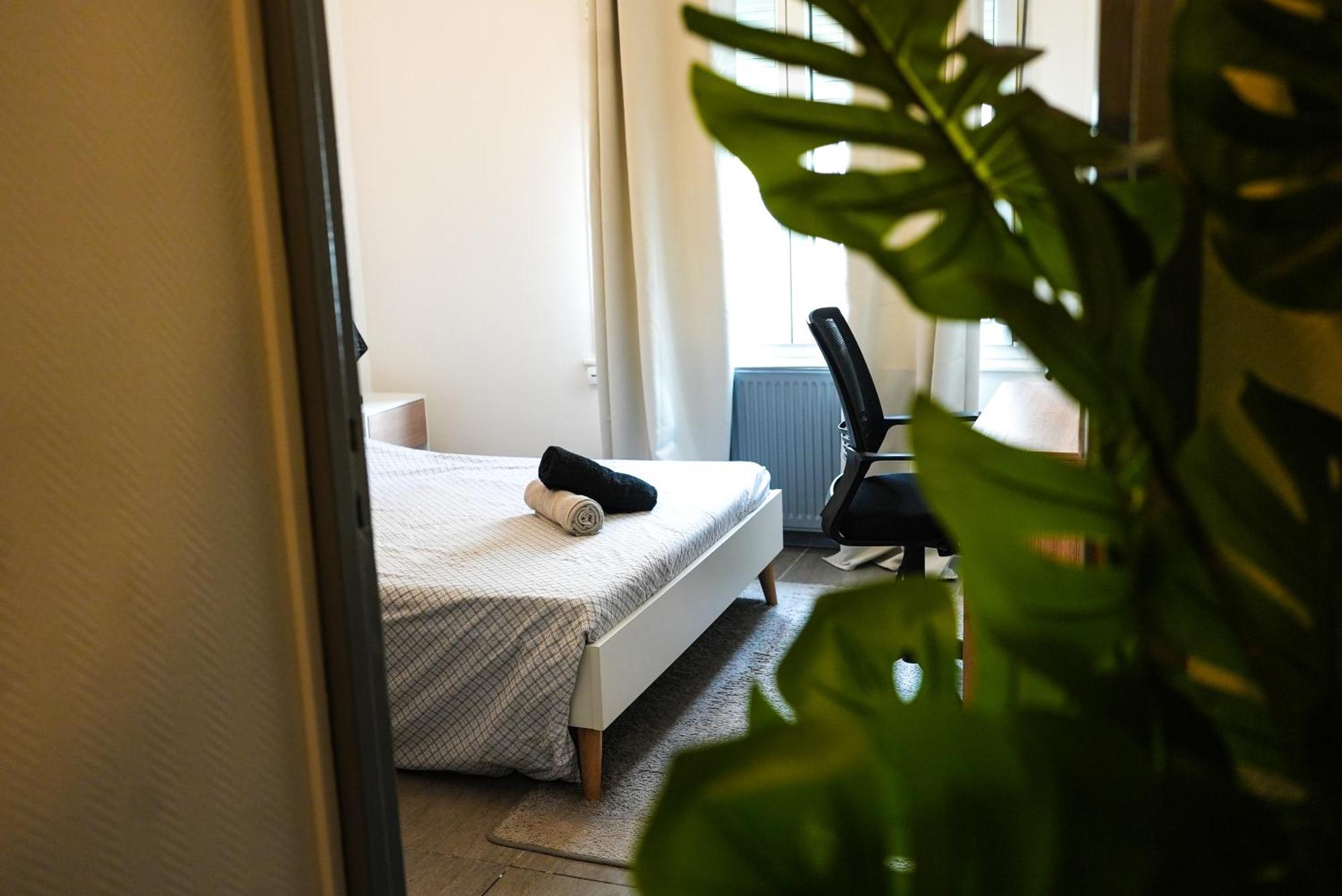 Appartement Temis Et Centre Ville Avec Parking-Wifi ブザンソン エクステリア 写真