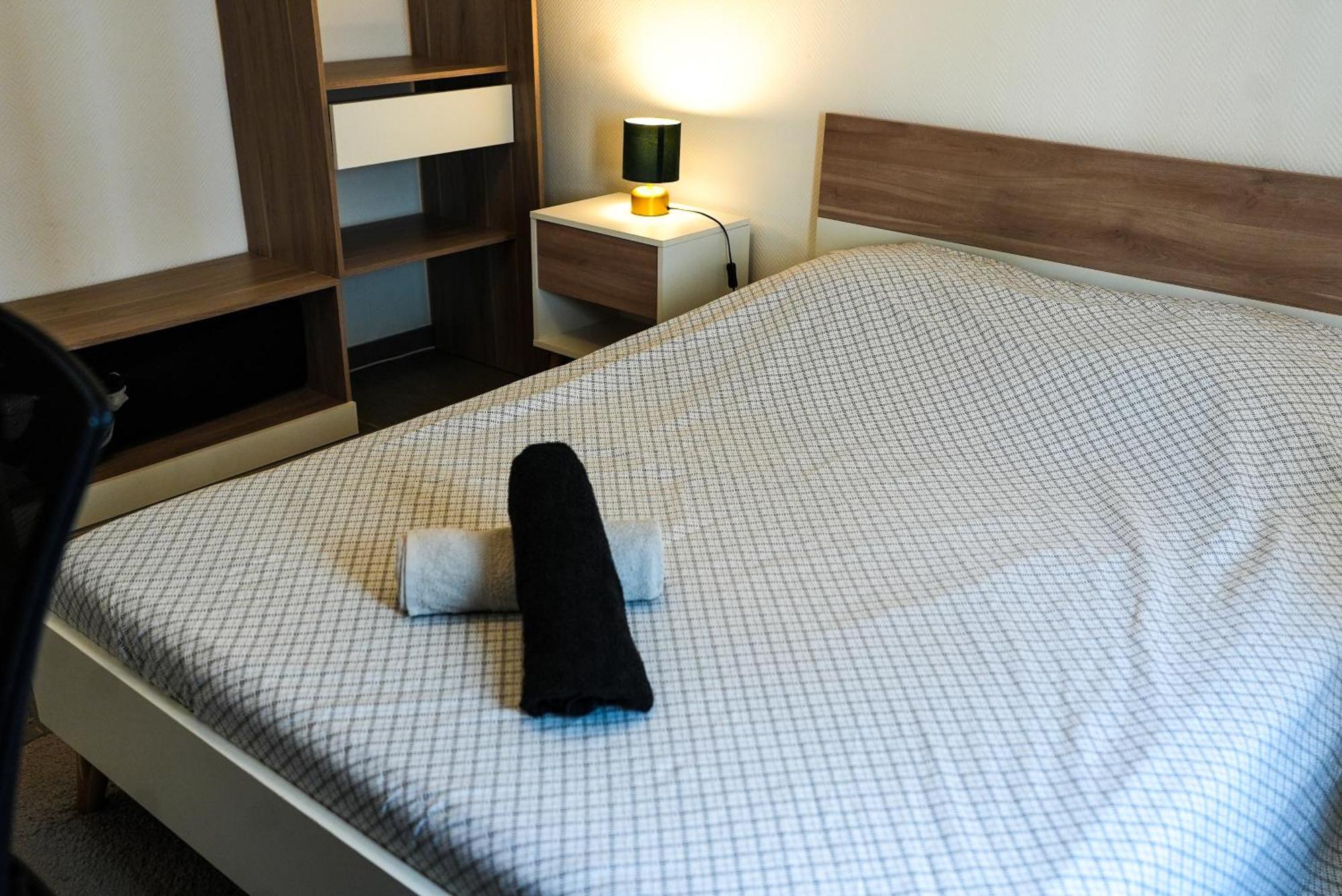 Appartement Temis Et Centre Ville Avec Parking-Wifi ブザンソン エクステリア 写真